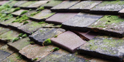 Stadhampton roof repair costs